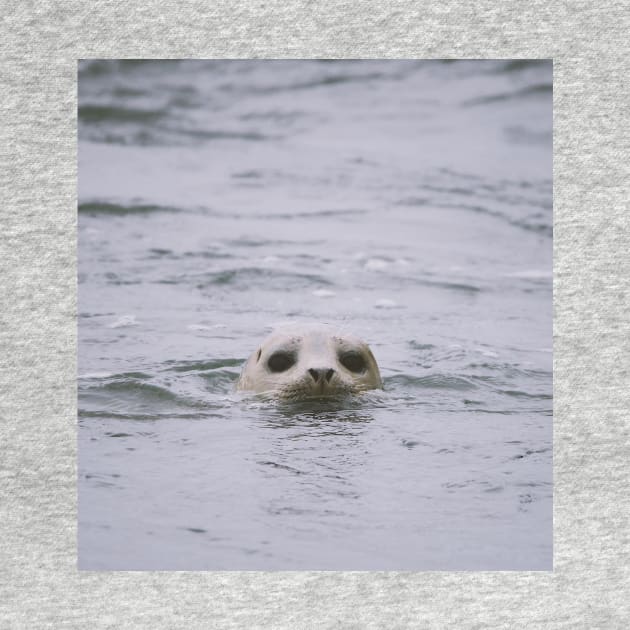 Seal Face by Oregon Art Shop